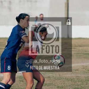 Fotografía SJP-77 de (39) 2026-05-31 San Jose Provincial