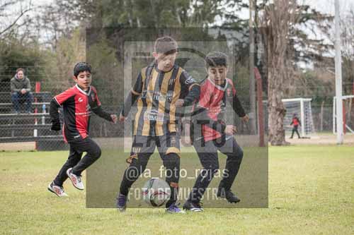 Fotografía ANH-12-2 de (050) 2026-07-04 NEWBERY HURACAN ESCUELITA 2