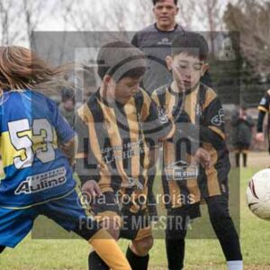 Fotografía ANH-20-3 de (050) 2026-07-04 NEWBERY HURACAN ESCUELITA 3