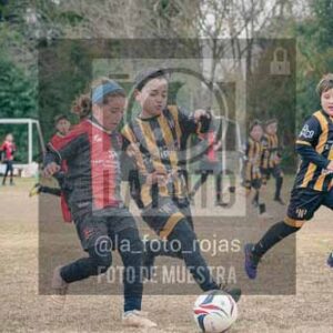 Fotografía ANH-66 de (050) 2026-07-04 Newbery Huracan 2015