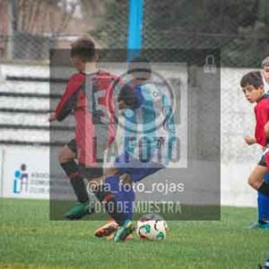 Fotografía PAN-49 de (055) 2026-07-18 Argentino Newbery Sub12 Final