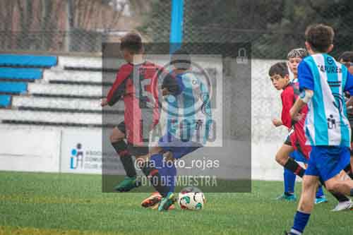 Fotografía PAN-49 de (055) 2026-07-18 Argentino Newbery Sub12 Final