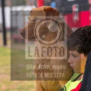 Fotografía PNA-86 de (053) 2026-07-11 Newbery Argentino Sub12